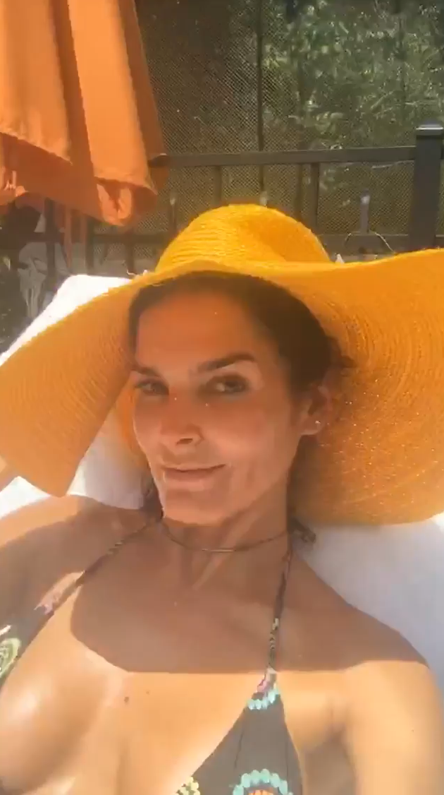 Angie Harmon -- MOSN 120416 To 011017 028.png