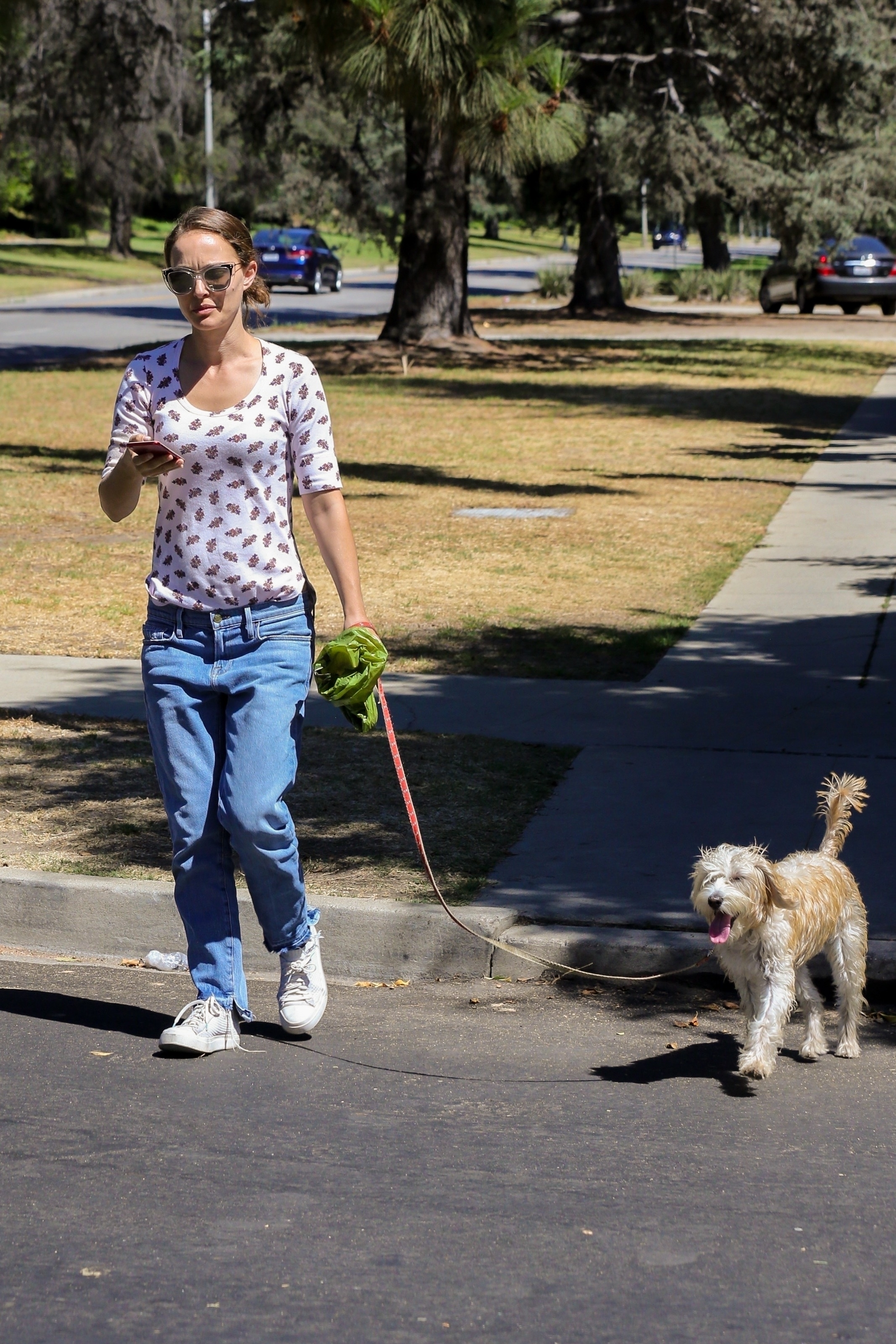 natalie-portman-out-for-a-walk-with-her-dog-near-griffith-park-in-los-feliz-09172018-12.jpg