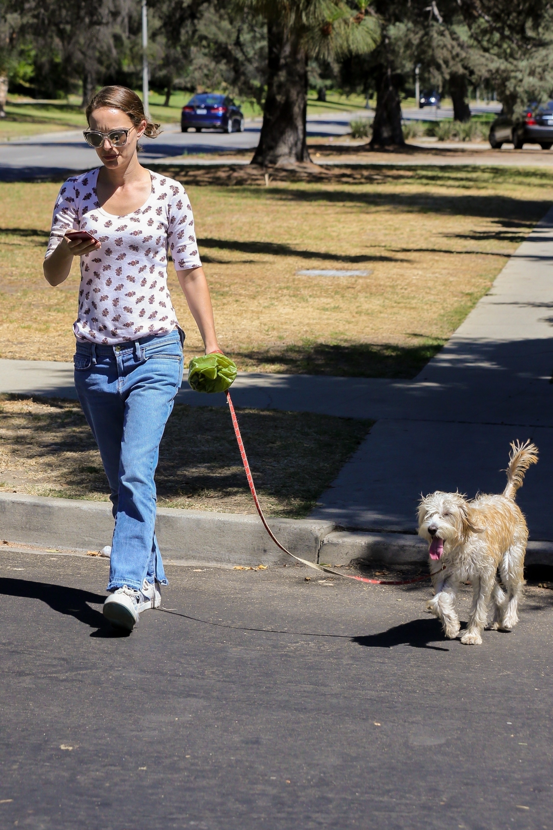 natalie-portman-out-for-a-walk-with-her-dog-near-griffith-park-in-los-feliz-09172018-16.jpg