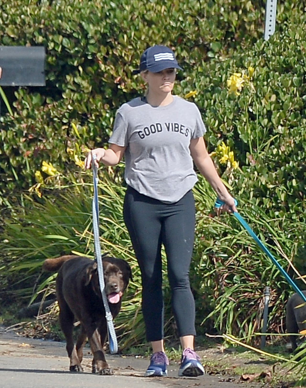 reese-witherspoon-taking-her-dogs-out-for-a-walk-10-29-2018-3.jpg