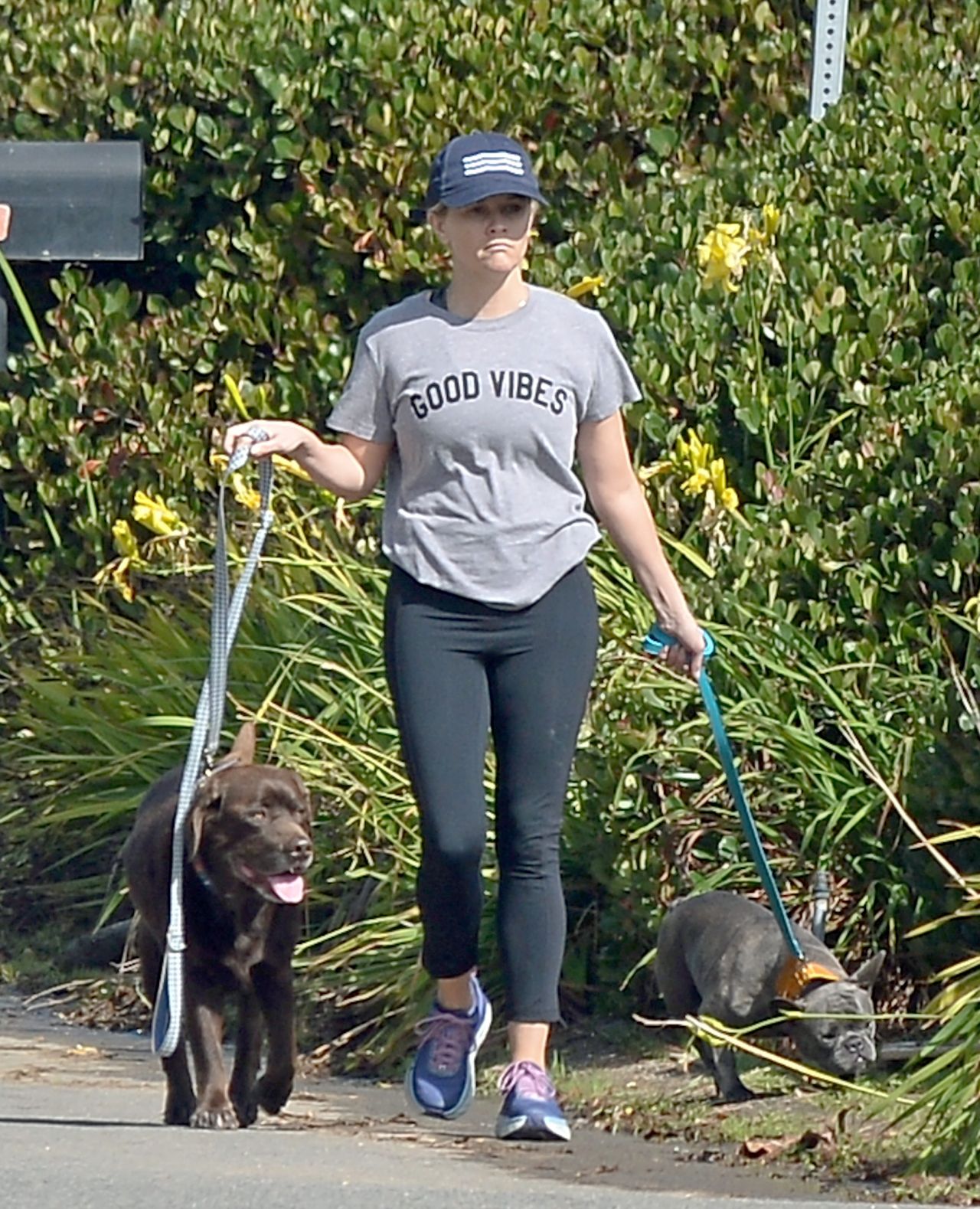 reese-witherspoon-taking-her-dogs-out-for-a-walk-10-29-2018-1.jpg