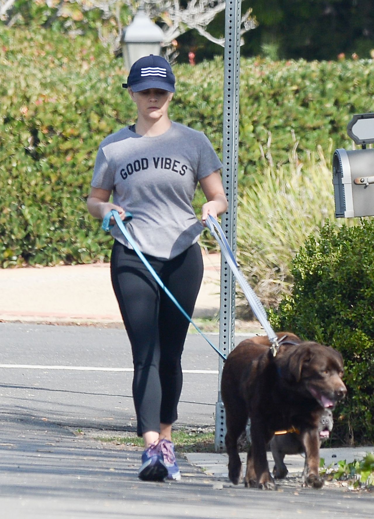 reese-witherspoon-taking-her-dogs-out-for-a-walk-10-29-2018-2.jpg