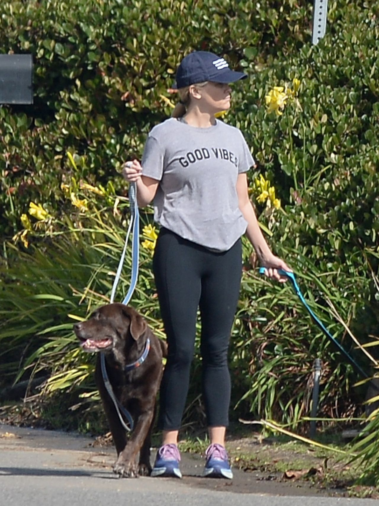 reese-witherspoon-taking-her-dogs-out-for-a-walk-10-29-2018-0.jpg