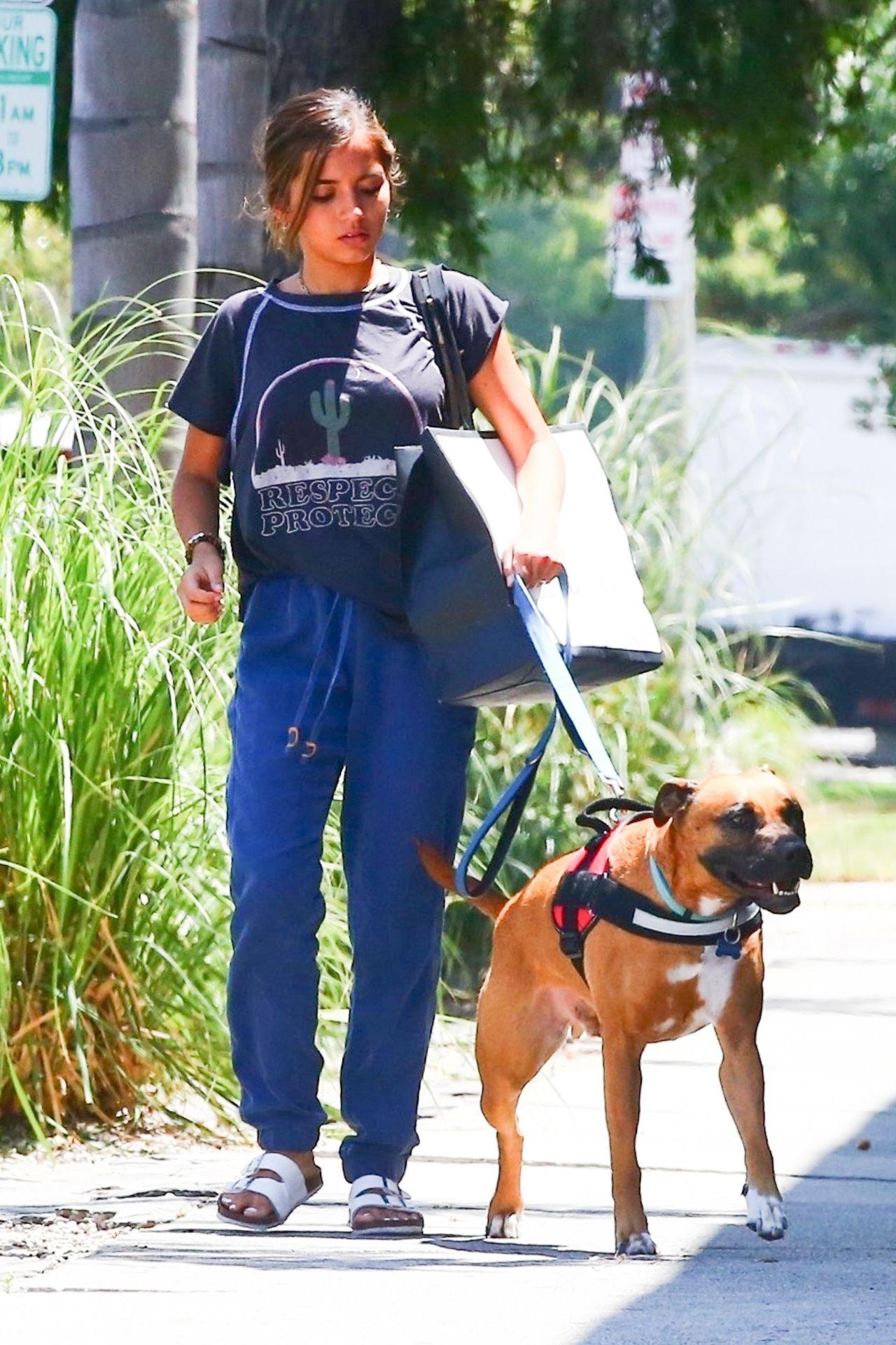 isabela-moner-walking-her-dog-in-west-hollywood-07-17-2019-6.jpg