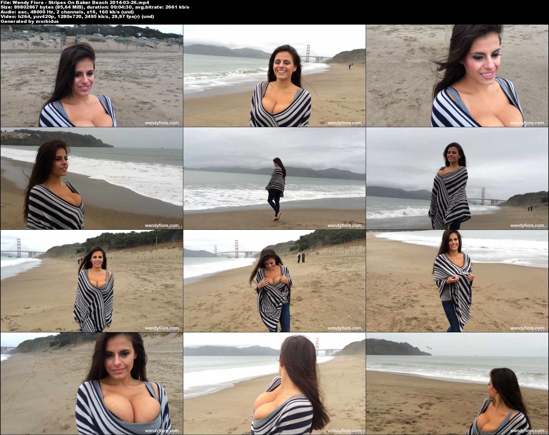 Wendy Fiore - Stripes On Baker Beach 2014-03-26.jpeg